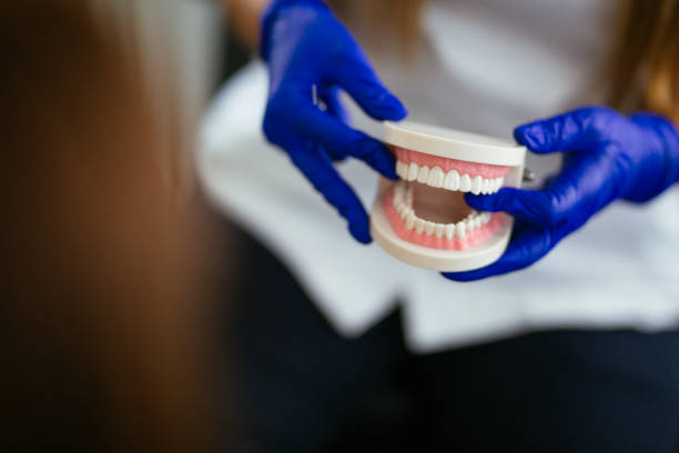 Best Root Canal Treatment  in Elk Grove Vlage, IL